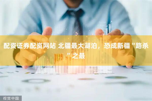 配资证券配资网站 北疆最大湖泊，恐成新疆“路杀”之最