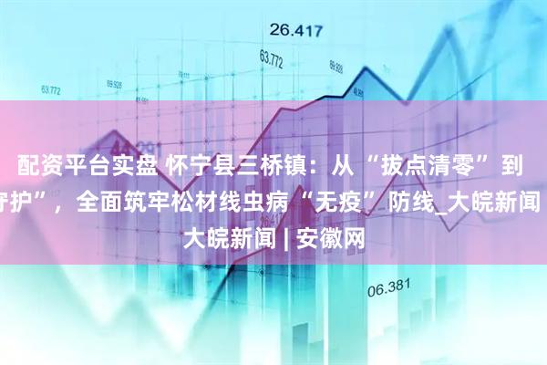 配资平台实盘 怀宁县三桥镇：从 “拔点清零” 到 “长效守护”，全面筑牢松材线虫病 “无疫” 防线_大皖新闻 | 安徽网